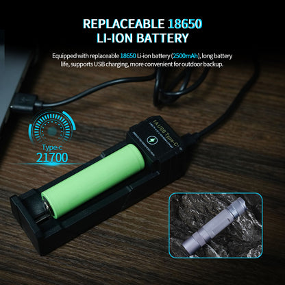 Poleshine UV Linterna - 365 nm | Alta definición pura ultravioleta | Luz negra | Recargable | H1307